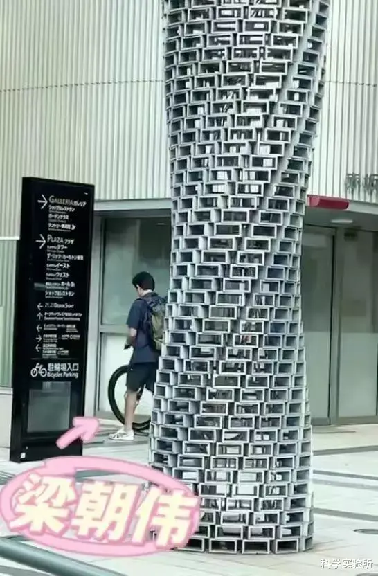 曾黎|梁朝伟疑在日本成上班族,背包骑自行车工作,与刘嘉玲常年分居