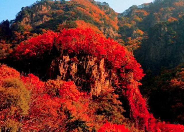 武当山|这座童话小城坐拥秋色天花板！红叶遍地，层林尽染，却少有人去过