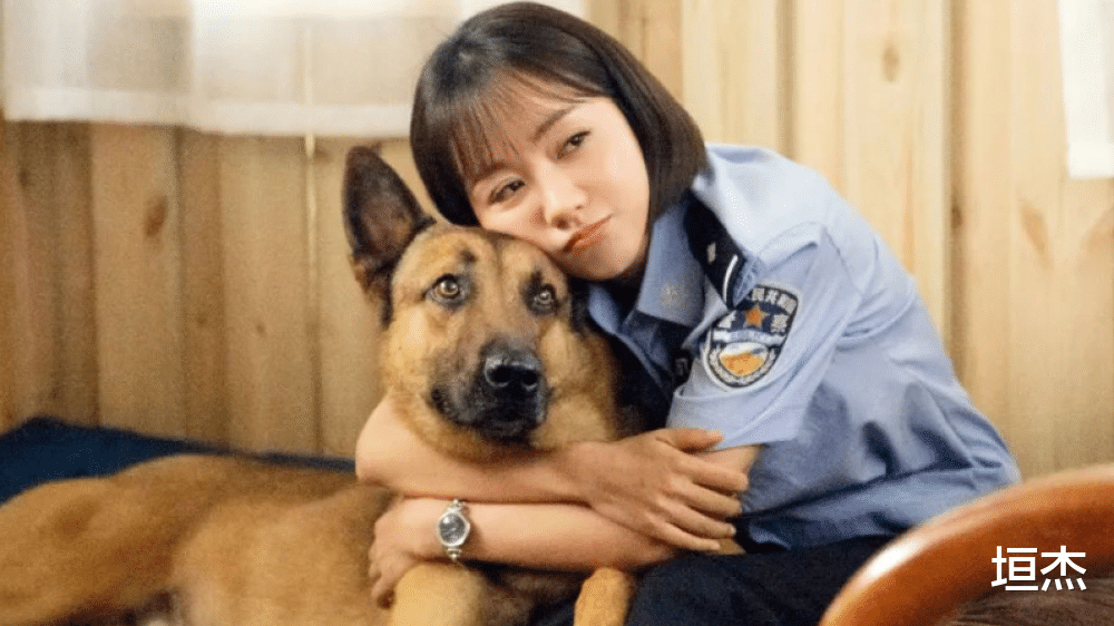 焦俊艳|同样演飒爽女刑警,把宋佳、焦俊艳、杨蓉放在一起,差距就出来了