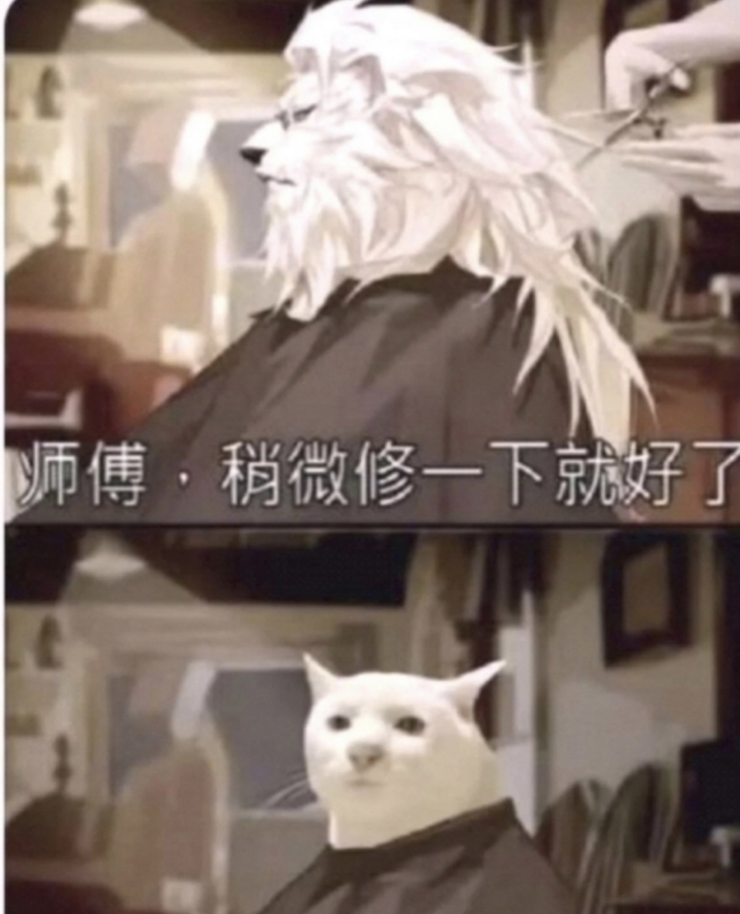 第一批过年烫头的人,已经疯了!