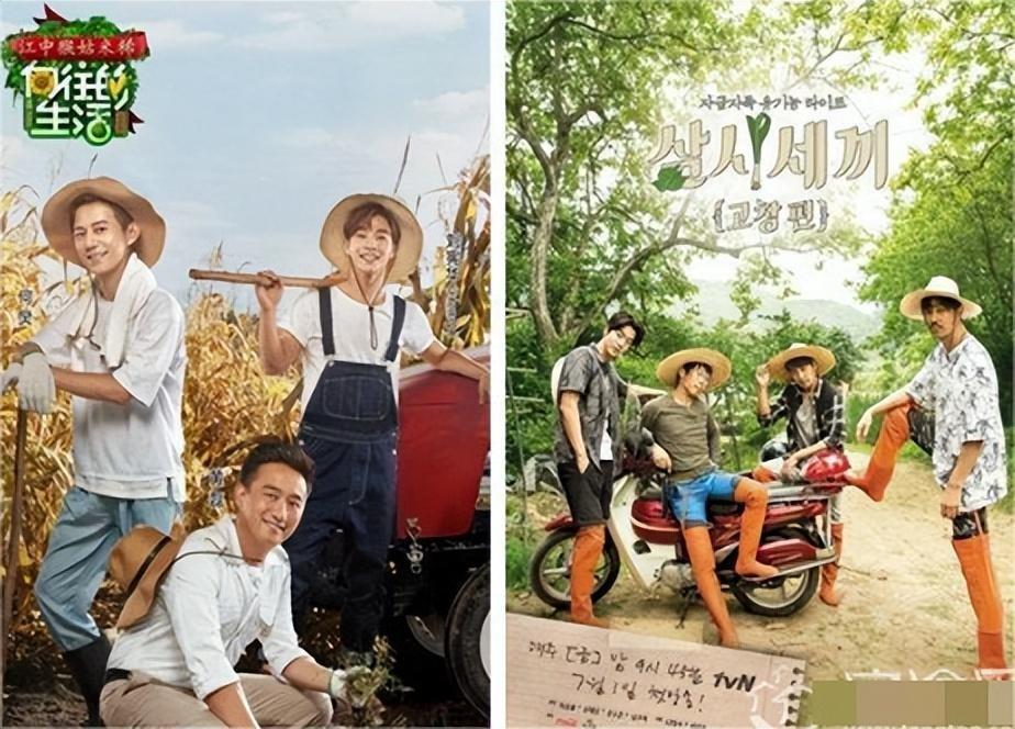 |抄袭综艺节目成内娱圈新常态！导演吴彤的恶行引爆舆论风暴！