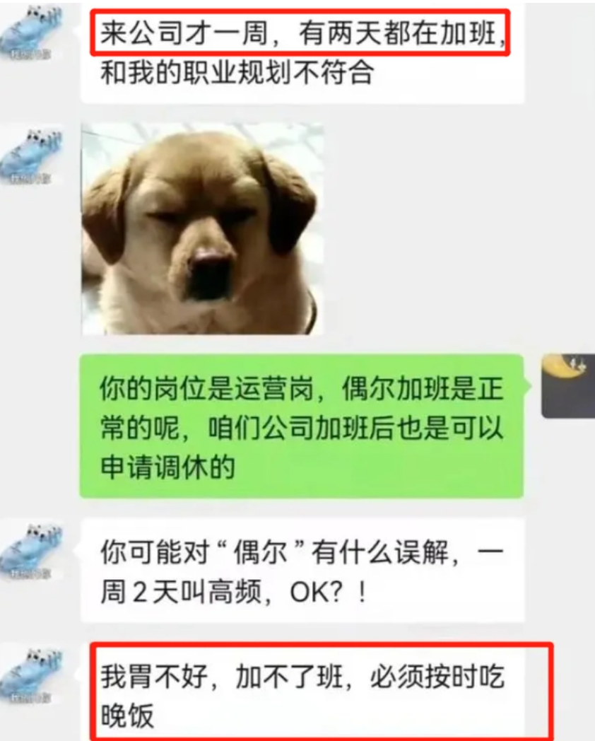 职场故事|00后低情商辞职信,理由句句戳中要害,老板看后默默签字:惹不起