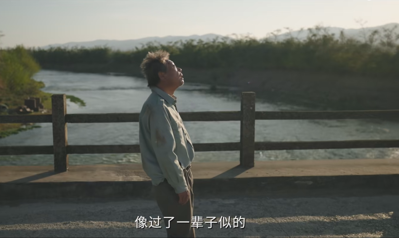 2023年中国最好的男演员排名,王志文第8,张译第5,张颂文仅第3