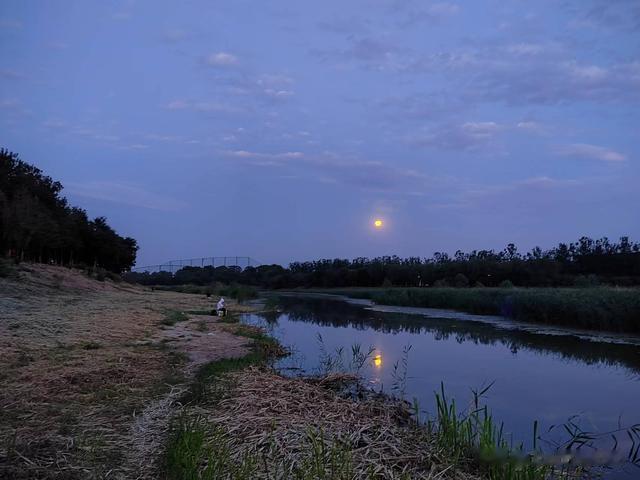 瓜子|钓鱼日记——2023年6月3日（巩华城夜钓）