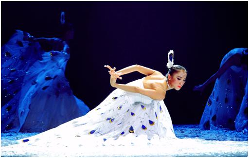 从徐娇的泳装到杨丽萍的凸毛孔雀，究竟是低俗了还是心脏了