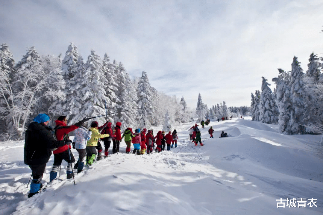 |明天冬至!“冬至在头,冻死老牛”,今冬是“60年一遇”的冷冬?