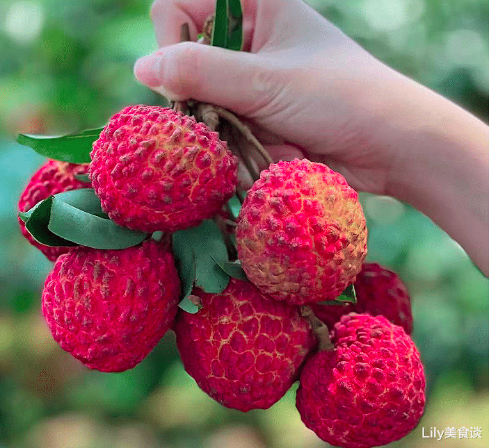 水果|6月，有钱没钱，这5种水果记得多吃，水分足口感好，现在正当季