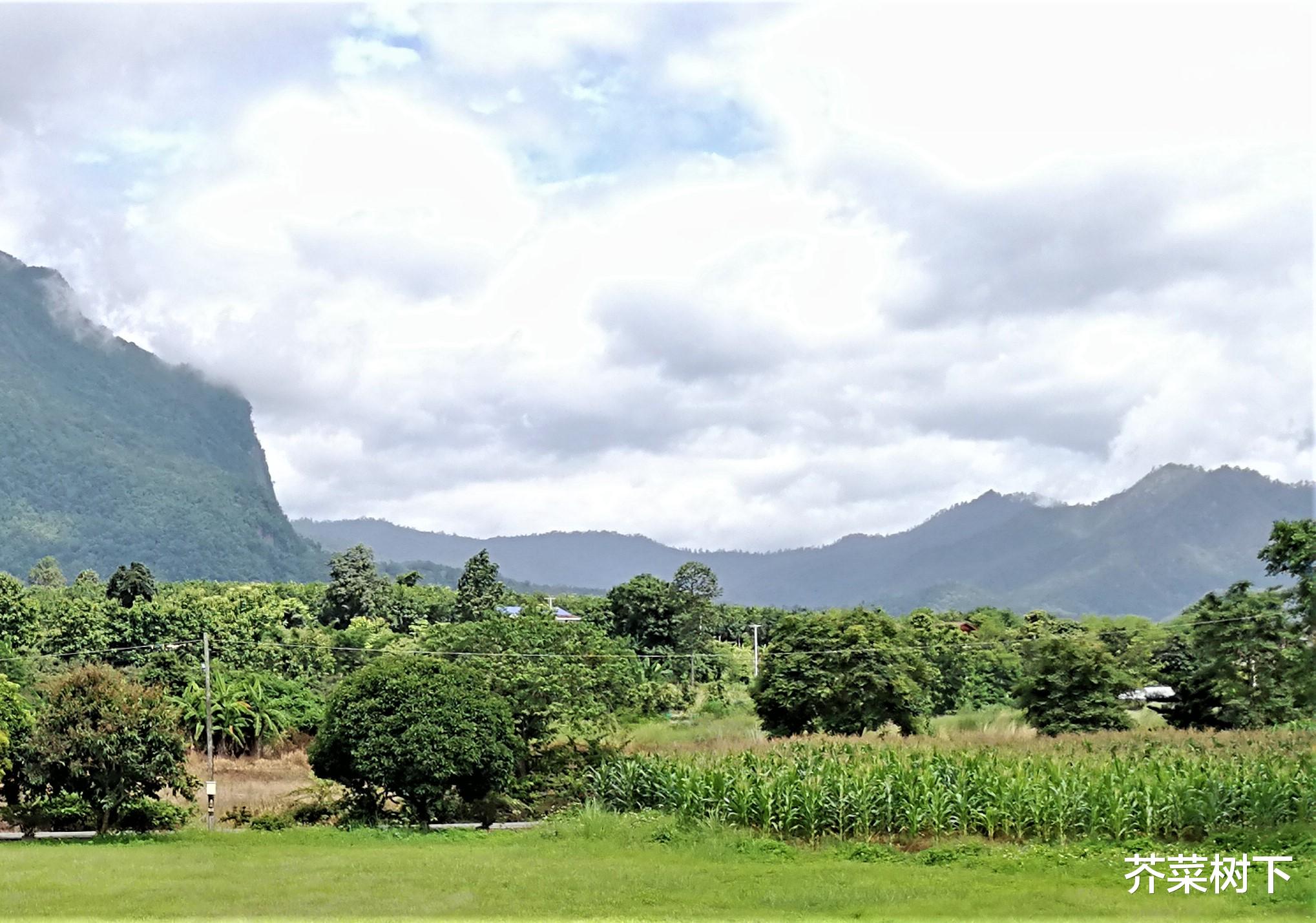 |行走职场，别指望人畜无害