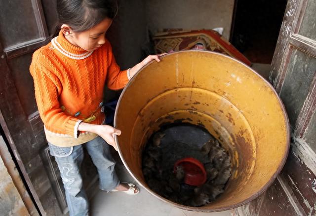 |躲过了中国人的筷子,却被越南人当做美食?越南人为啥爱吃鼠肉?