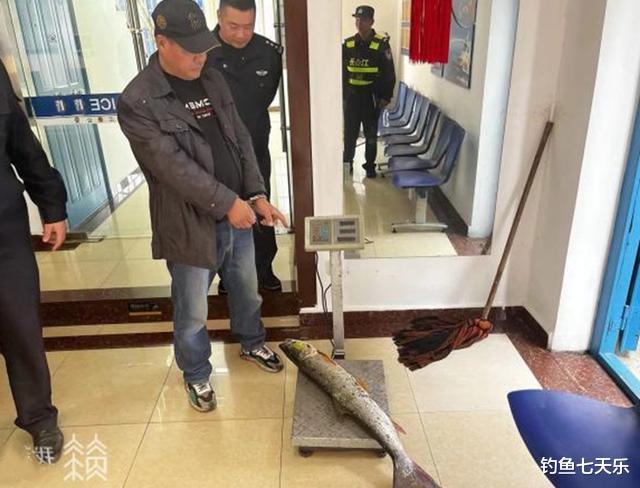 饵料|在长江流域钓鱼,用错鱼钩可能“入刑”!这些钓具别再用了