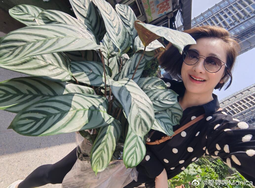 步步惊心|《步步惊心》12年,阿哥们变化不大,福晋退圈了4位,有的大变脸