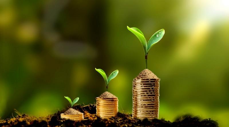 沉香|翡翠的价值和意义因人而异