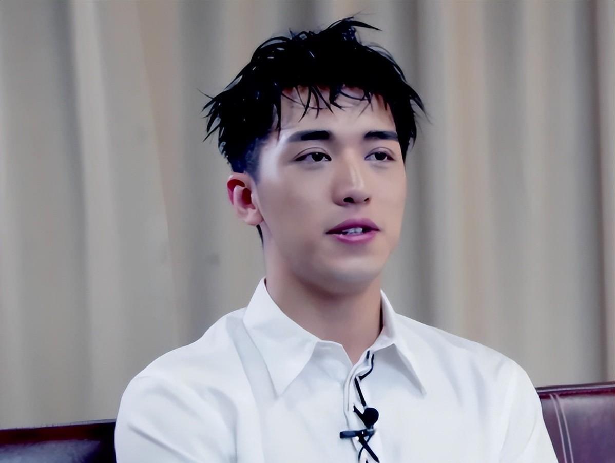 以那英为首的六位明星被整治,网友:罪有应得