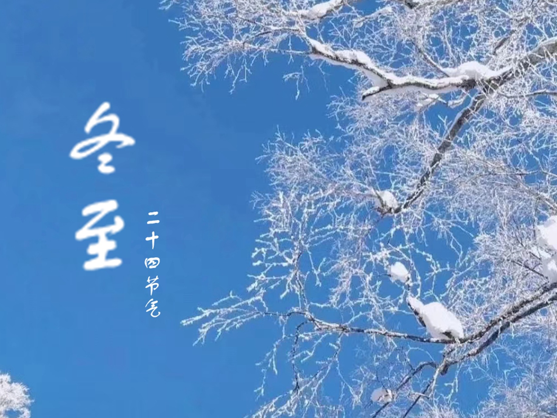 汤圆|12月22日冬至,俗话说:冬至大如年,记得吃2样1果,寓意团圆又顺遂