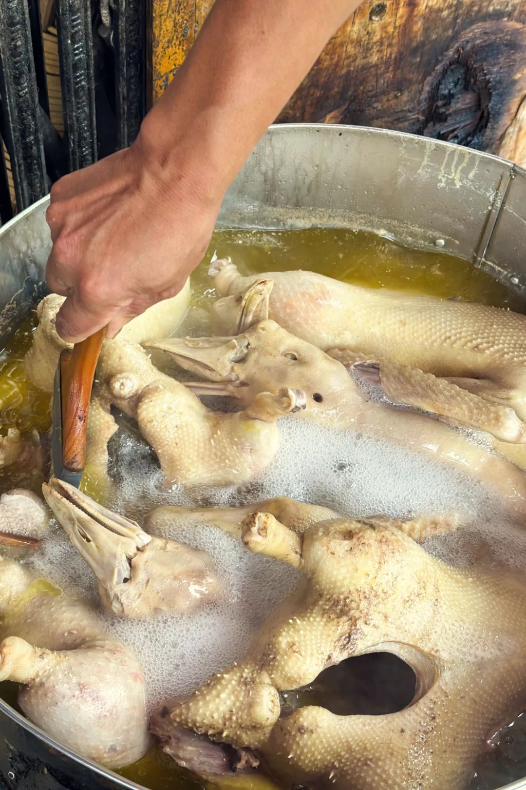 |中国最被低估的家禽，凭什么一夜成为冬日美食顶流？