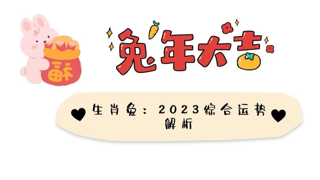 属兔|生肖兔:2023年综合运势分析