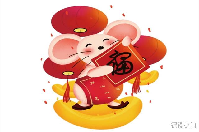 属鼠|2023年属鼠的适合养哪些花草运更好？振奋精神，节节高升