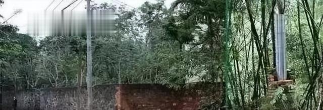 20年前黄花梨是这样卖的