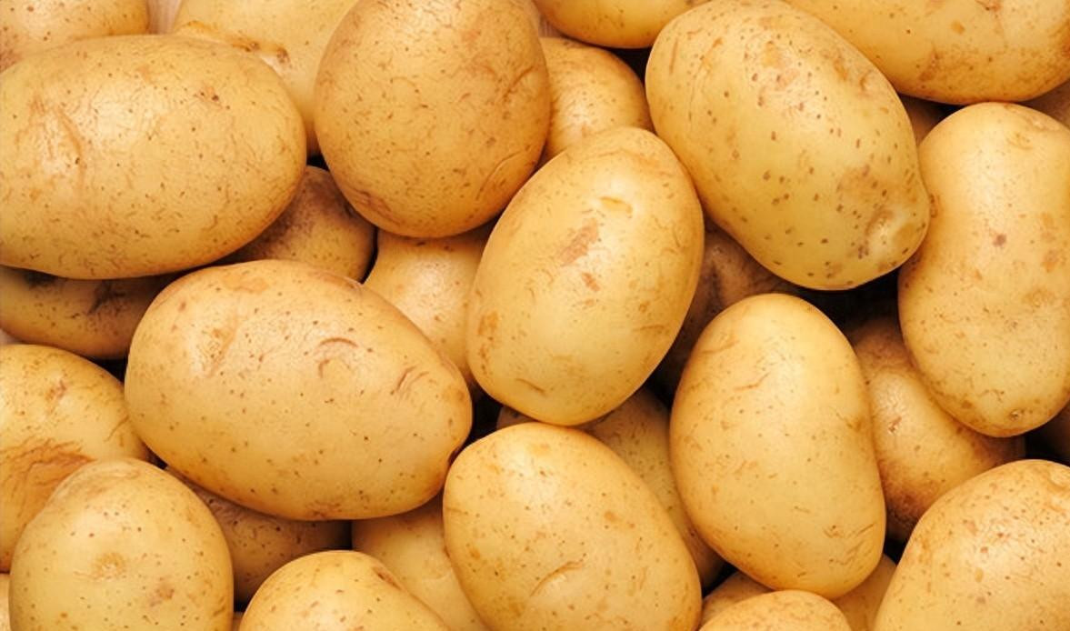 土豆|土豆：最被人忽视的世界第四大主粮，为什么成不了中国人的主食？