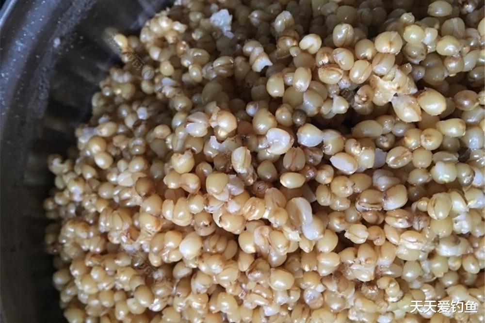 盛夏钓鱼,几种素饵小鱼不吃,主攻大鲫鱼