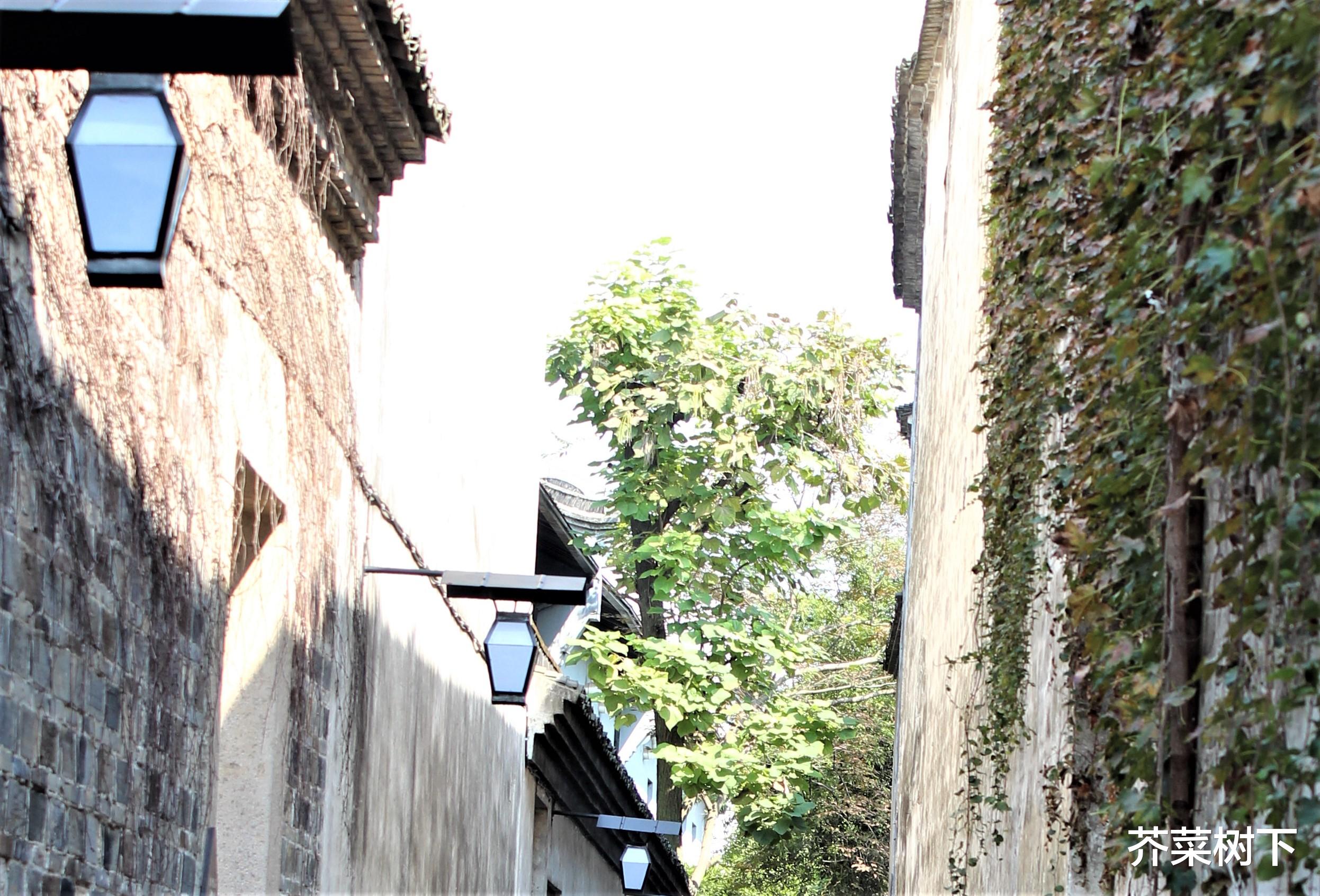 |拿出热爱,才有期待