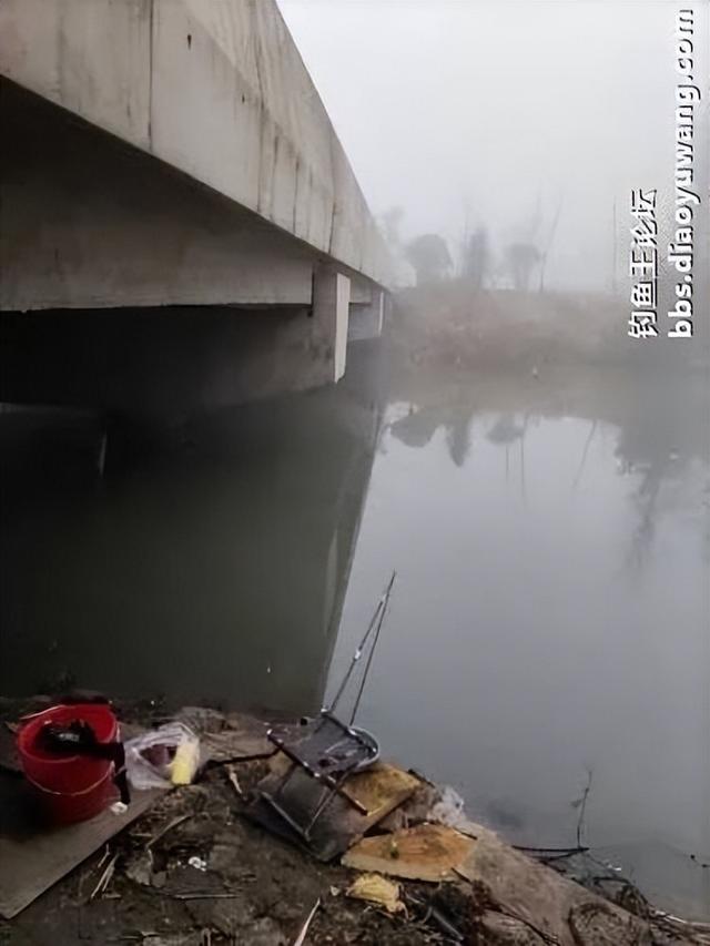 地狱猫一开,爆护自然来