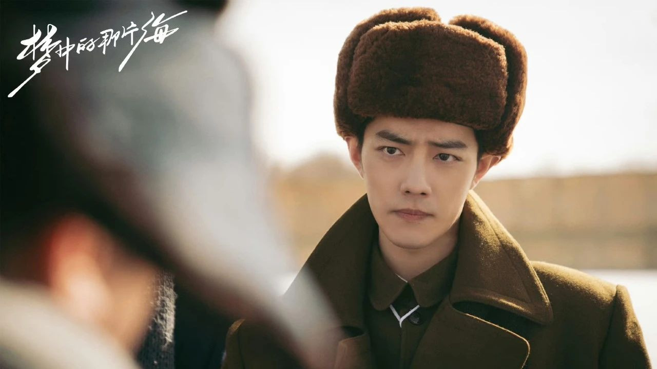 肖战|《梦中的那片海》豆瓣评分异常，病态的五星，客观的肖战