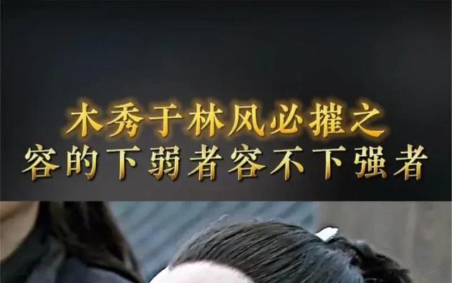 人生有一祸:多才、多财(人间清醒)