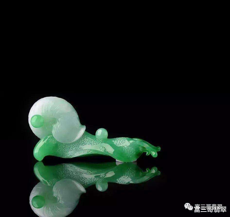 |翡翠蜗牛:虽然我很慢,但每一步走得都很稳!