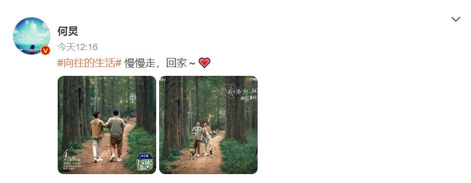 何炅|何炅晒与黄磊向往的生活海报配文：慢慢走，回家～