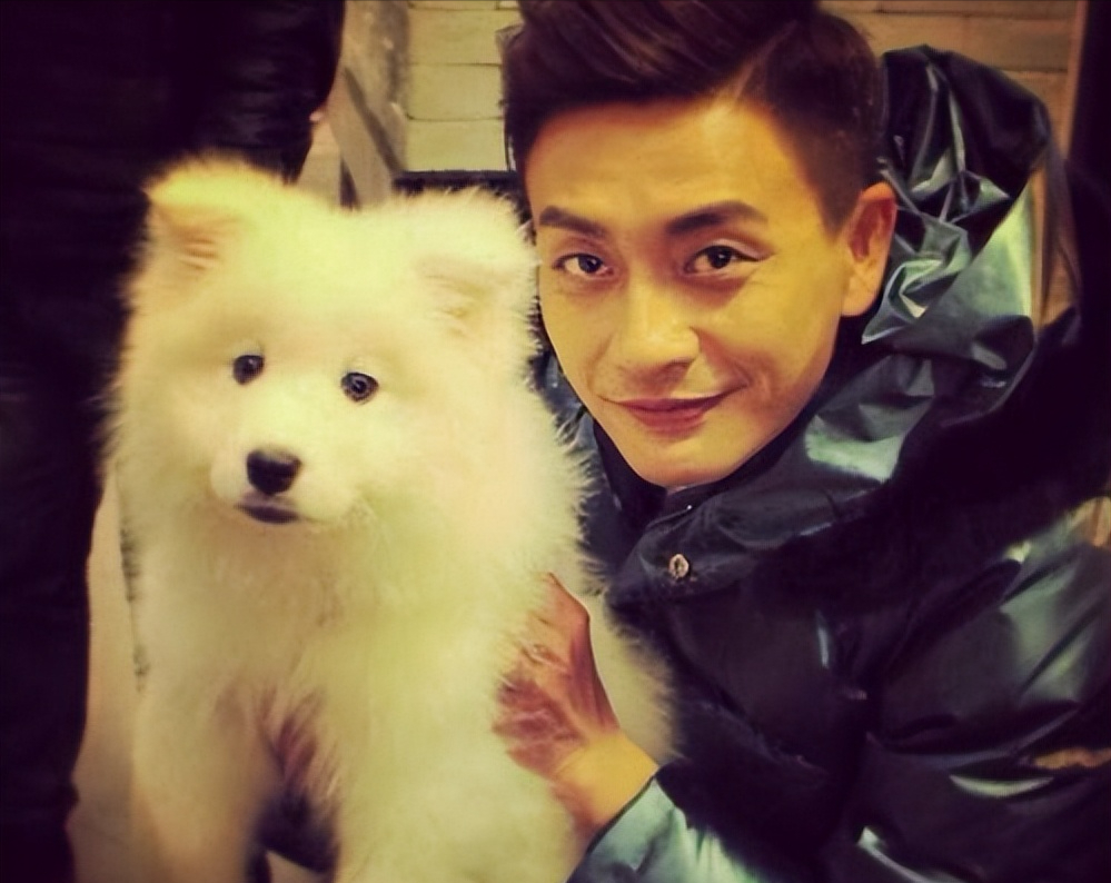 8年后再看黄宗泽：娱乐圈“奇怪现象”，在他身上体现得淋漓尽致