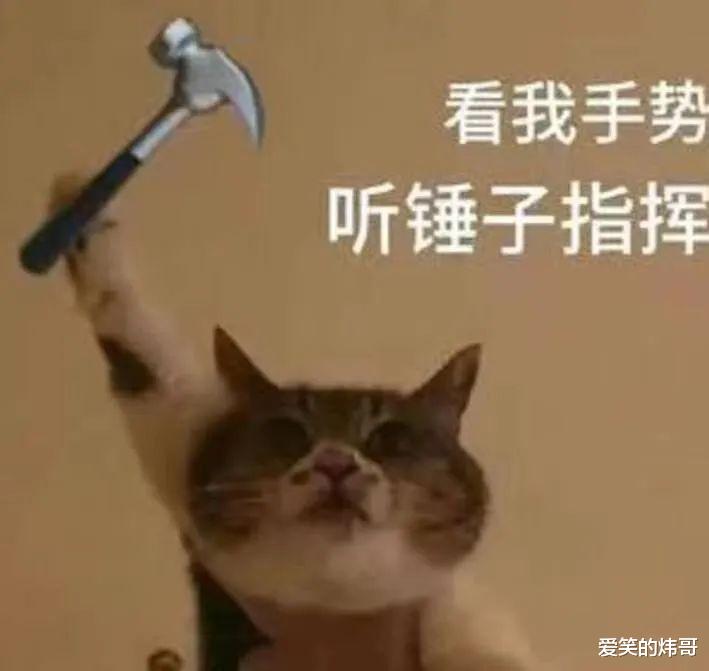 00后|第一批00后打工人，浑身上下只有嘴是硬的