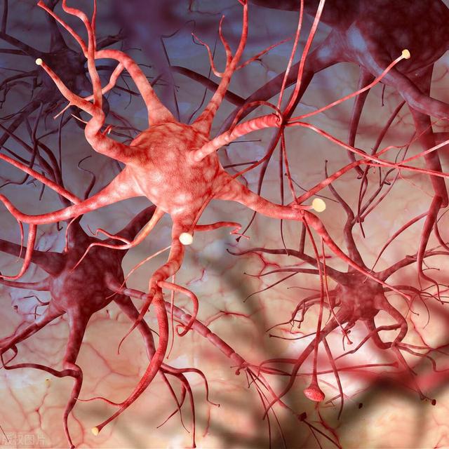 茄子的公敌有哪些？不可一起同食，越吃病越多，爱吃茄子要注意