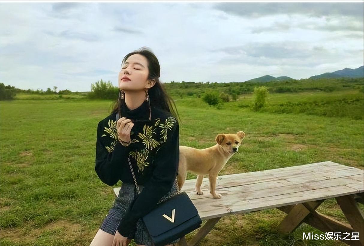 刘亦菲|刘亦菲浮肿、虎背熊腰?神仙姐姐新剧遭误解,曾放弃与李安合作