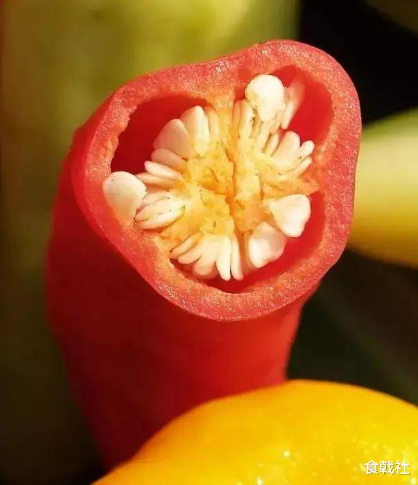 辣椒素|世上最辣的辣椒！辣度是朝天椒的50倍，只有5个人吃过