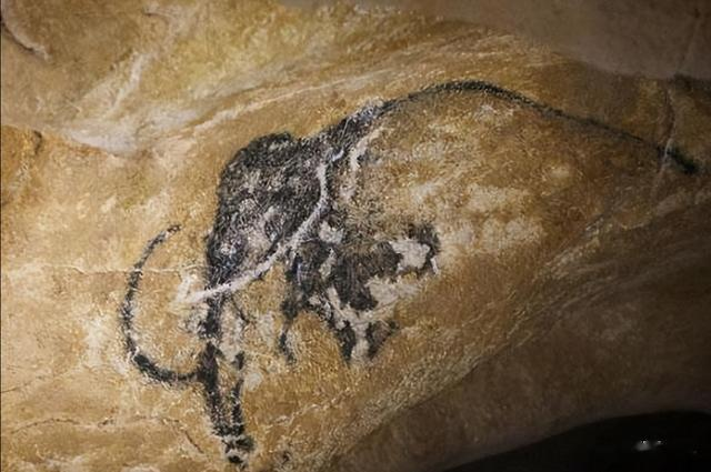 象牙|远东地区的猛犸象牙还能挖多久年?难以置信