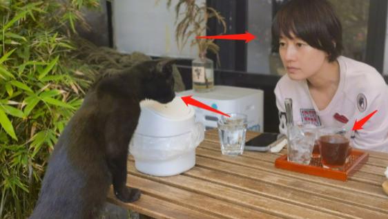 马伊琍|马伊琍街头喝咖啡！素颜踩拖鞋逗猫没包袱，姚笛苦果只能自己尝