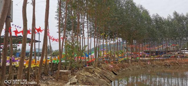 |钓虾农场作钓，酣畅淋漓擒巨物！