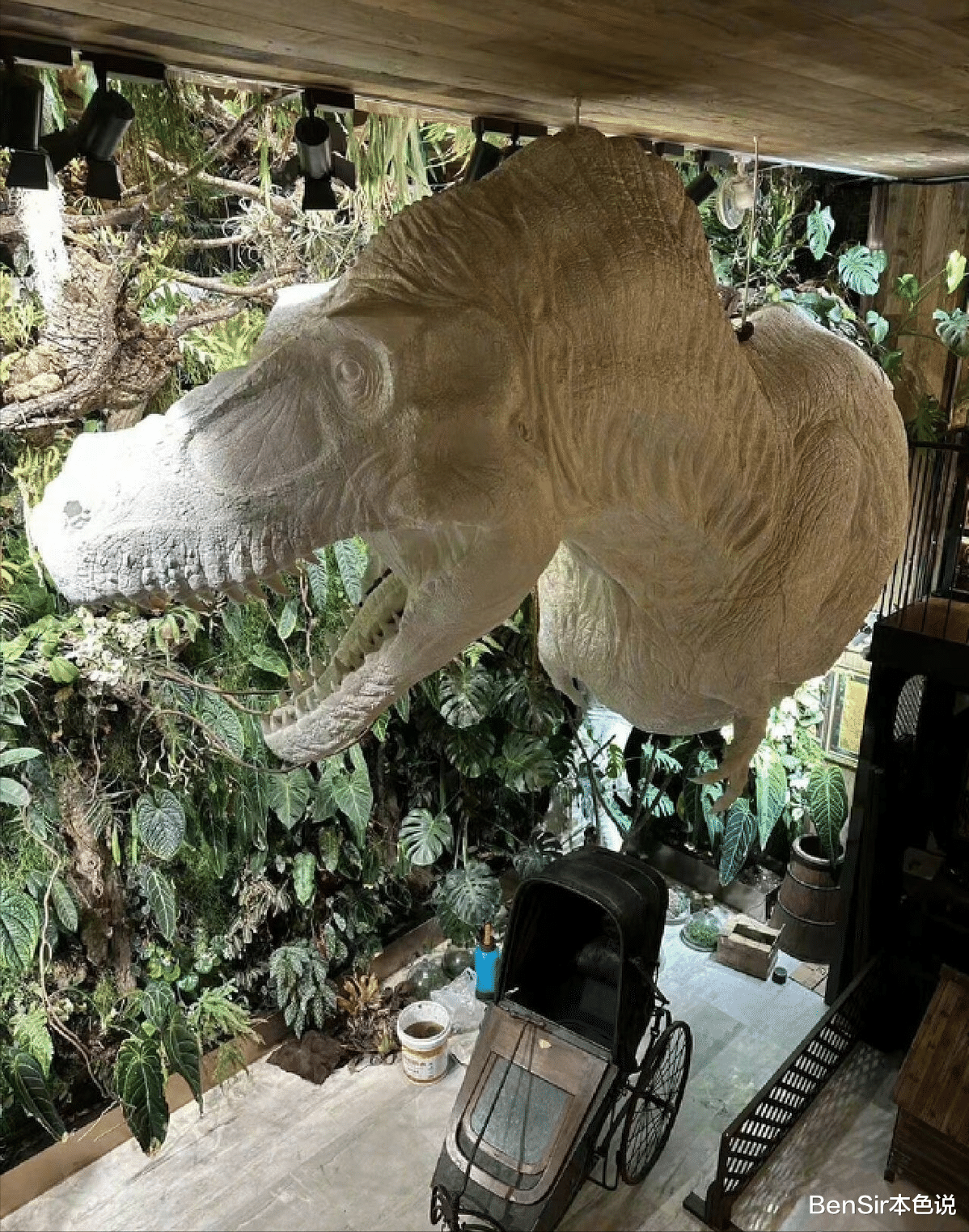 王昱珩|内娱新风向：智性恋天花板王昱珩，凭颜值上热搜