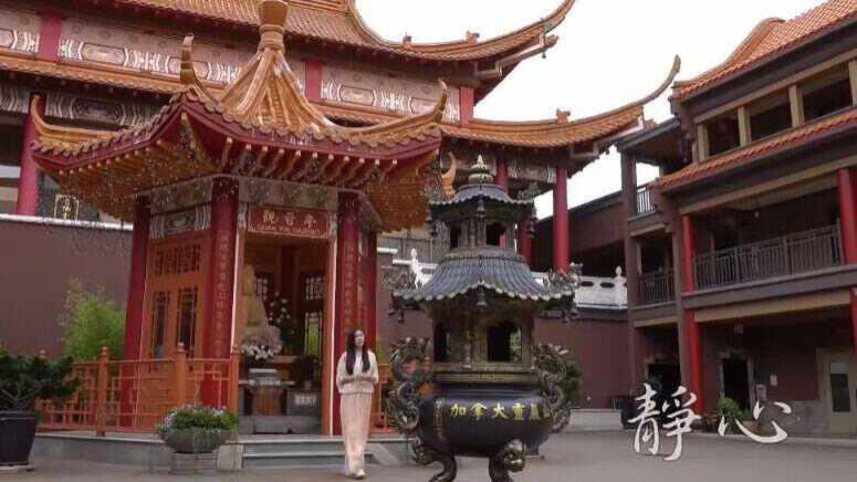 王祖贤|56岁港圈女神近照曝光！面部僵硬、下巴突出，被质疑医美失败