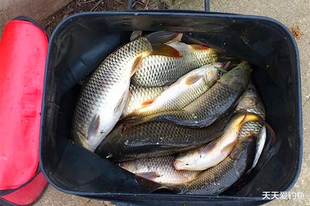 饵料|夏季野钓，这4种天气鱼不开口，再好的饵料也没用