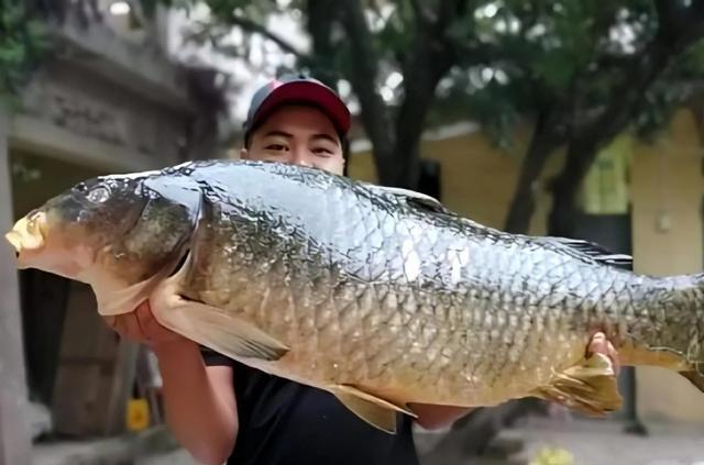 夜钓|钓鱼人都有一个大鱼梦，这五个习惯是野钓大鱼的硬伤，你有吗？