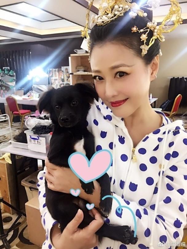 周海媚去世头七,港媒曝其4亿财产分配,兄弟姐妹表态不争抢家产