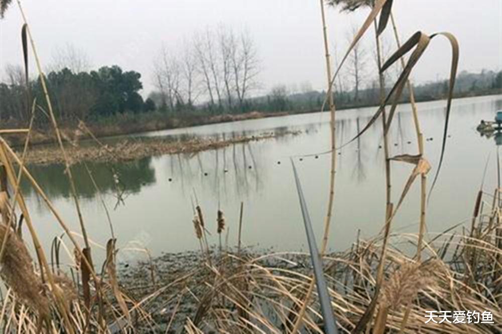 冬季野钓鲫鱼,3个步骤找到鱼窝,千万莫选老钓位