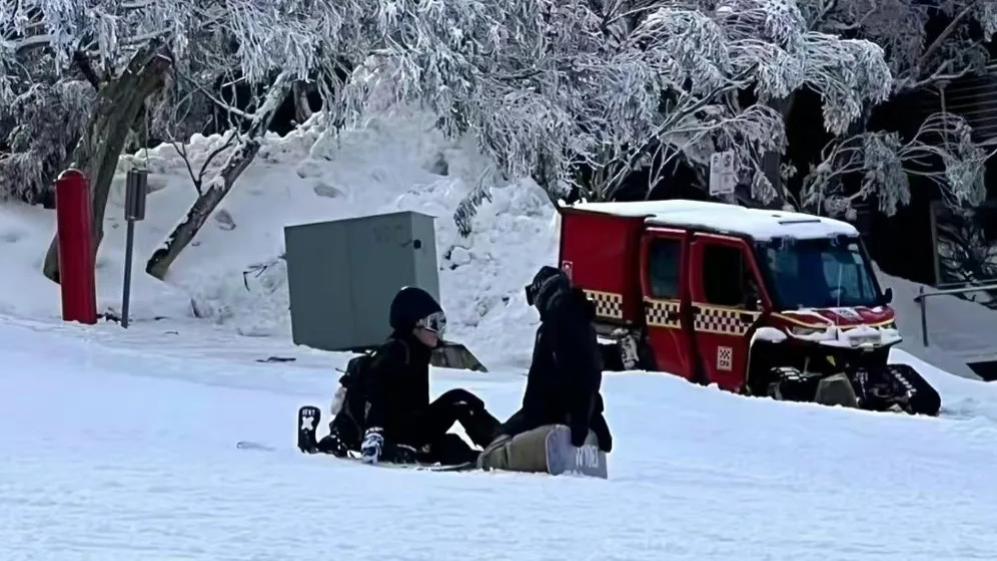 港媒爆张柏芝谢霆锋大瓜，一起带3娃在澳洲度假！