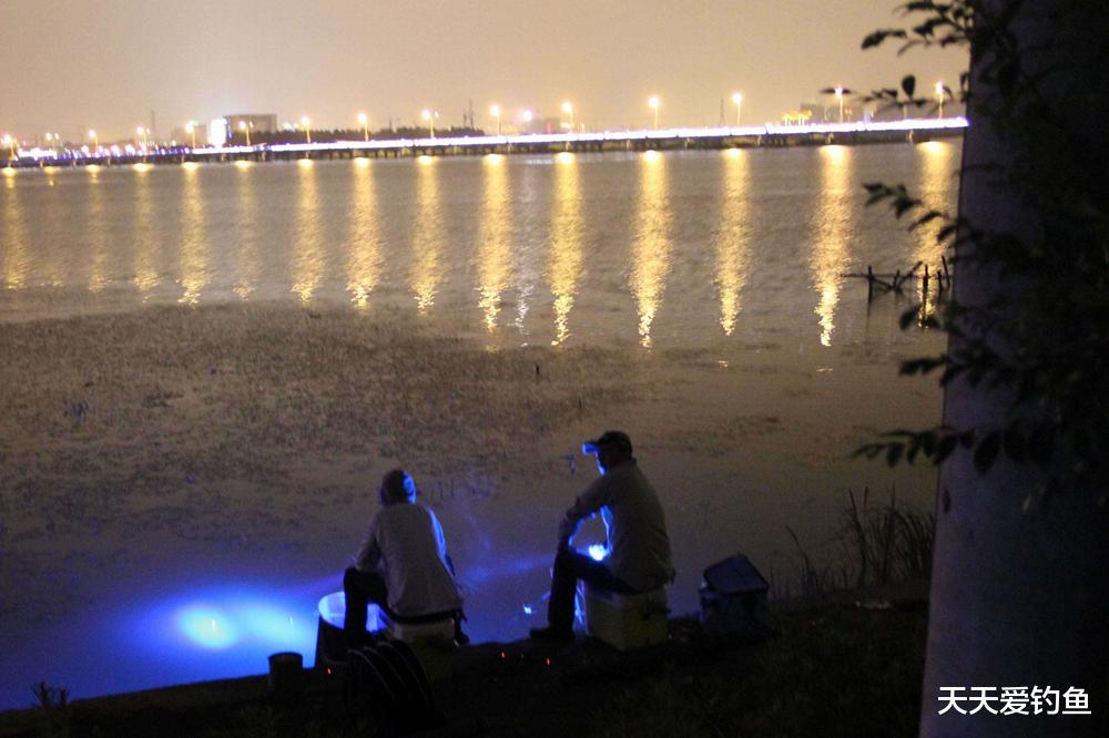 |夏天夜钓，大鱼靠边的5种钓位，钓获大鱼更容易
