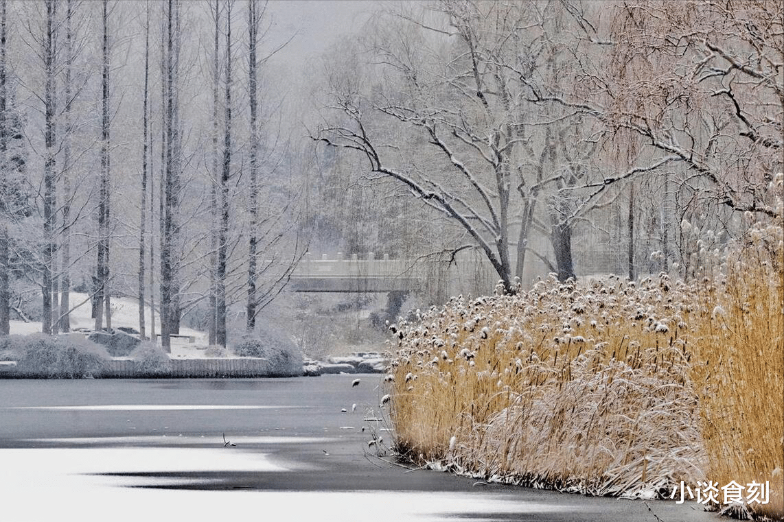 |明日十一月初一,老人说“雨打冬月头,来年起坟头”,是啥意思?