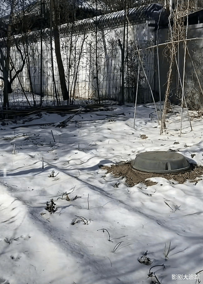 周海媚粉丝自发去别墅悼念!家周围荒凉一片,母亲带着骨灰已返港