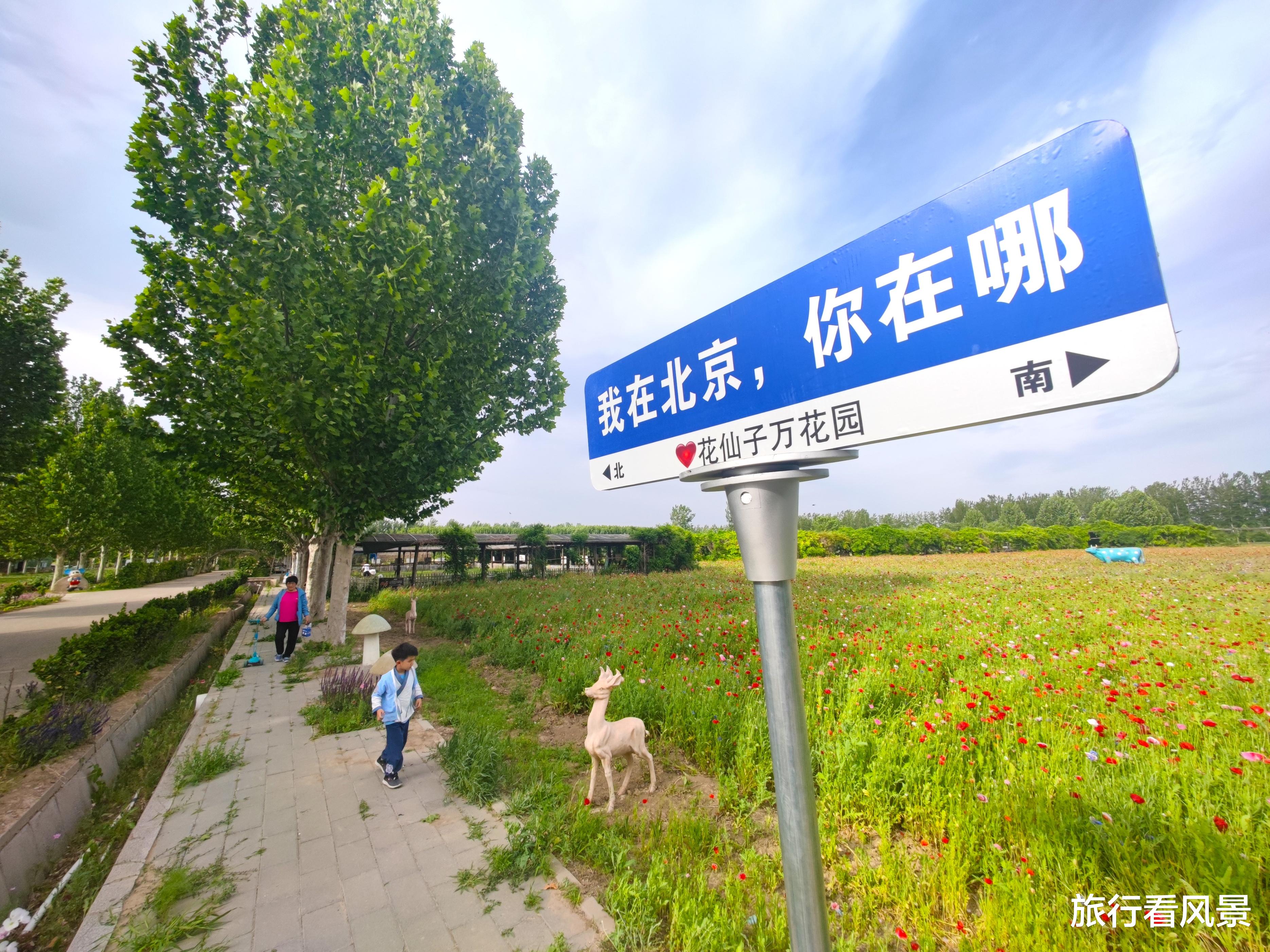 旅行|北京无人赏花秘境，超百亩五彩花海，还有免费动物园