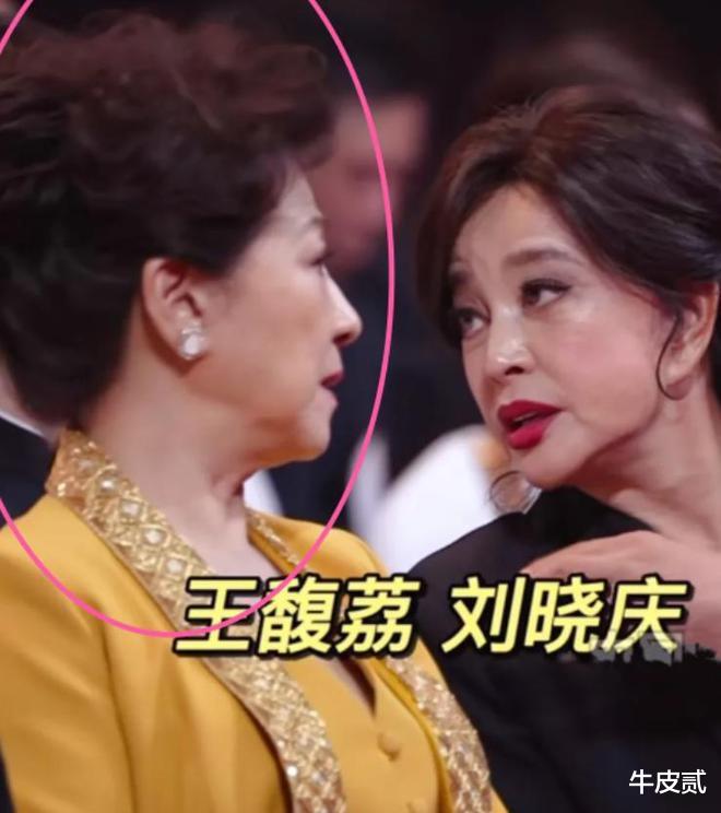 整容|有种倔强叫“我没整容”！明明从大饼脸变成V脸，真当观众瞎吗？